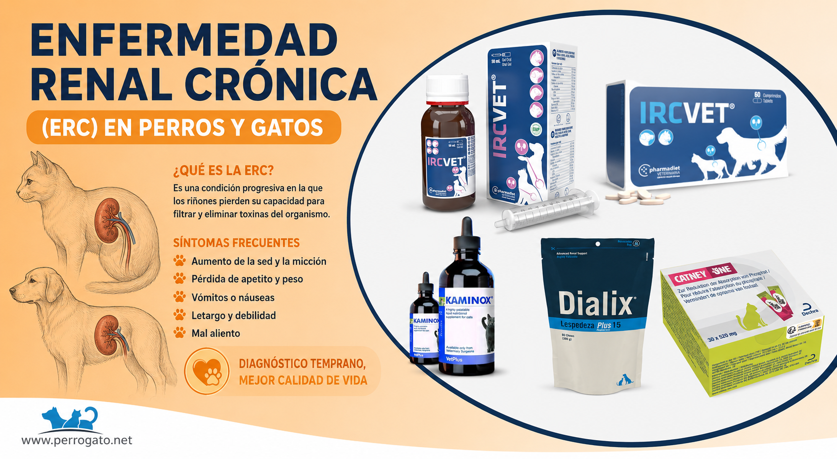 ENFERMEDAD RENAL CRONICA